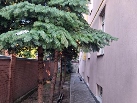квартира по адресу Никольская ул. (Димитрова), 88