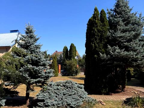 будинок за адресою Полтава, Львівська вул.