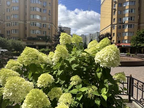 квартира за адресою Андрія Малишка вул. (Льва Толстого), 102