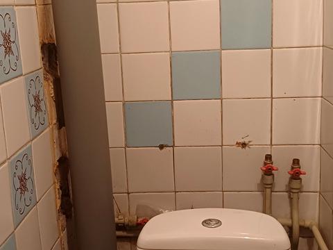 квартира за адресою Василя Сергієнка вул. (Задніпровська), 68