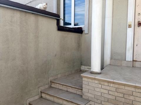 дом по адресу Европейская, 18