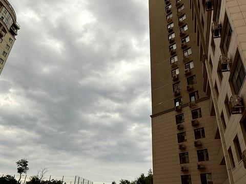 квартира за адресою Аркадійське плато вул. (Гагаринське плато), 5а к1