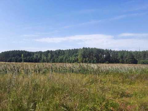 участок по адресу Петровського, 23