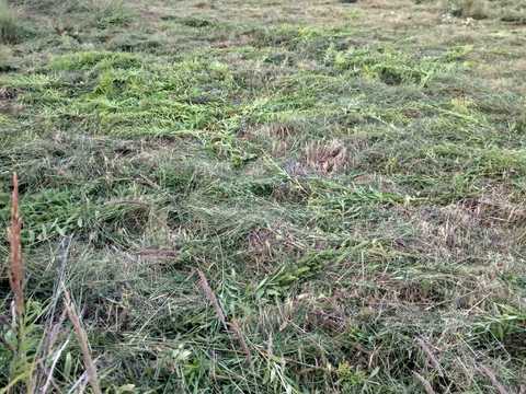ділянка за адресою захисників Вітчизни
