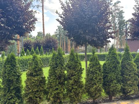 комерційна за адресою Прорізна вул., 13