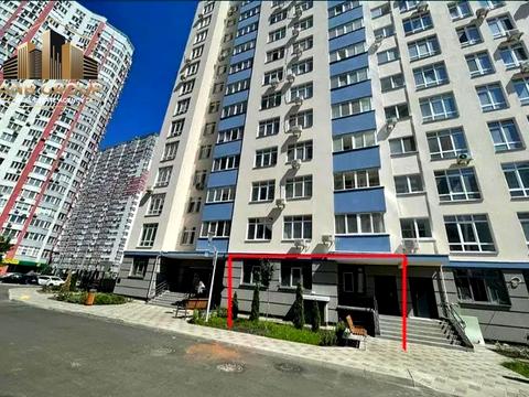комерційна за адресою Олени Пчілки вул., 7