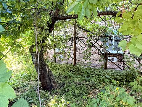 будинок за адресою Отамана Чорного Ворона вул. (Уральський), 6