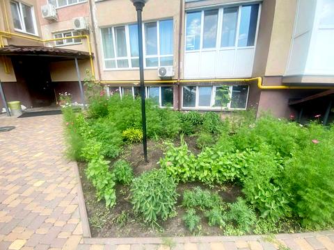 комерційна за адресою Київська вул., 128