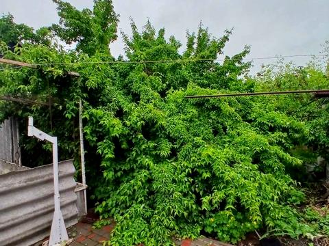 будинок за адресою Нижняя, 10