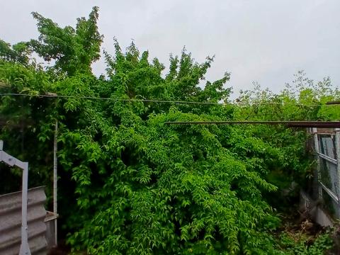 будинок за адресою Нижняя, 10