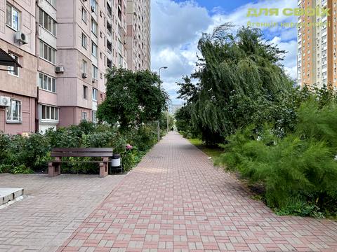 квартира за адресою Олени Пчілки вул., 2-Б