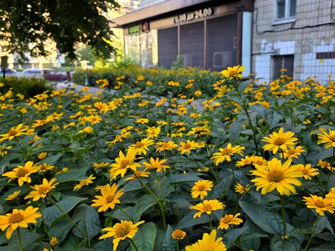 квартира по адресу Леси Украинки бульв., 28