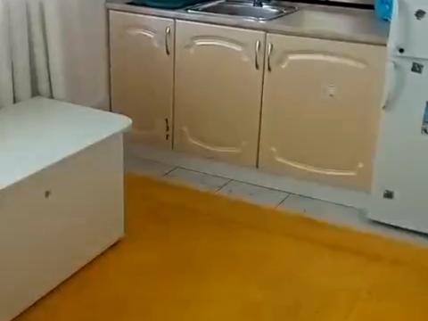 квартира за адресою Берегова вул., 65