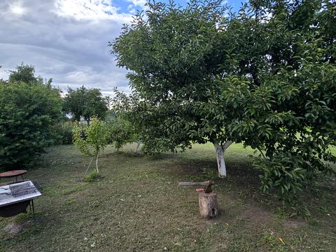 дом по адресу Новая ул.