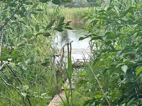 дом по адресу провулок Заливний