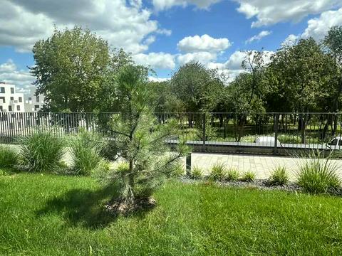 квартира за адресою Пилипа Орлика вул., 30