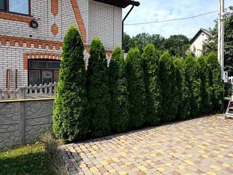 будинок за адресою Інститутська, 19