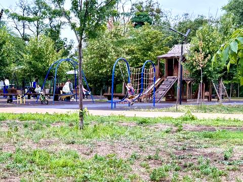 квартира за адресою Липова вул., 9