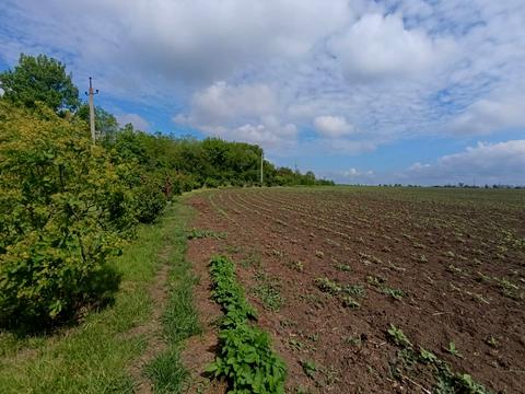 ділянка за адресою Агрономічна вул.