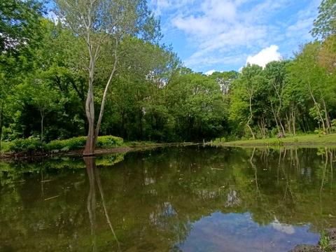 ділянка за адресою Агрономічна вул.