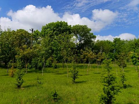 ділянка за адресою Агрономічна вул.