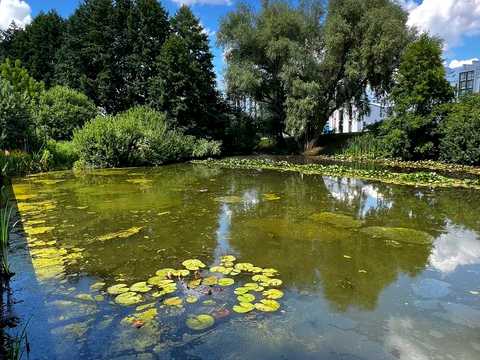 будинок за адресою Веселкова, 1