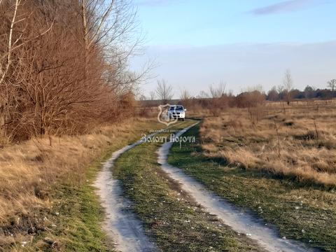 ділянка за адресою с. Літочки, Незалежності вул.