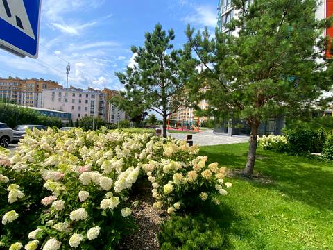 квартира за адресою Оксамитова вул., 11-Б