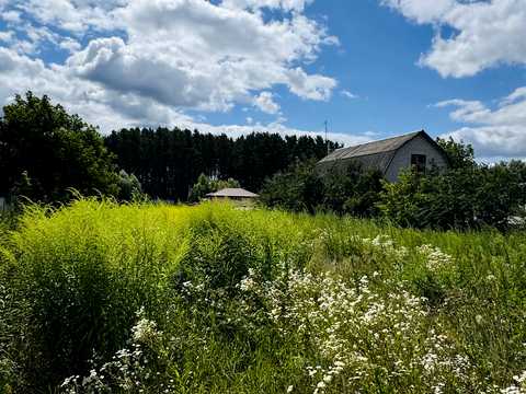 участок по адресу провулок Шкільний