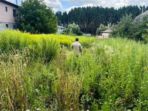 участок по адресу провулок Шкільний