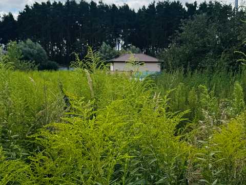 участок по адресу провулок Шкільний