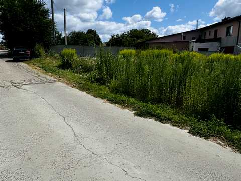 участок по адресу провулок Шкільний