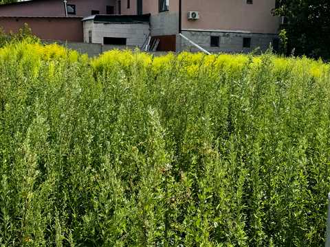 участок по адресу провулок Шкільний