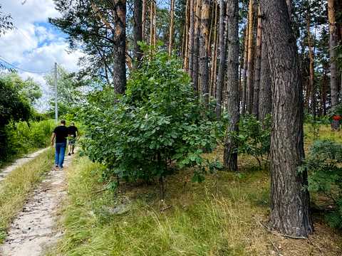 участок по адресу провулок Шкільний