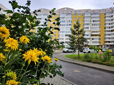 квартира за адресою Червоної Калини просп., (Будинок 1)