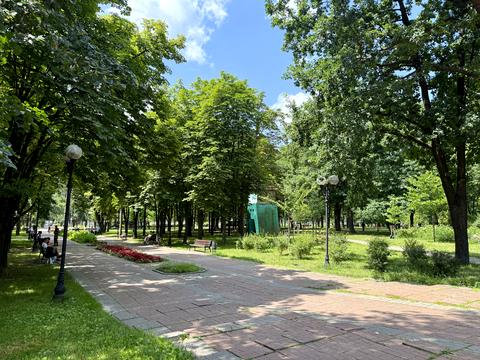 квартира за адресою Тулузи вул., 13