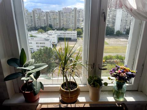 квартира за адресою Ревуцького вул., 11-Г