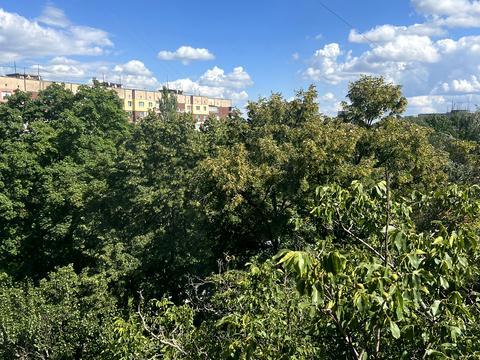 квартира по адресу Тополя-3 жилой массив ул., 4
