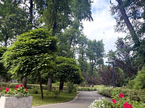 дом по адресу Лісова ул.