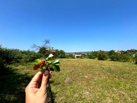 участок по адресу Остапа Вишні ул., 2