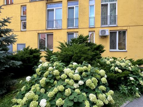 квартира за адресою Регенераторна вул., 4к2