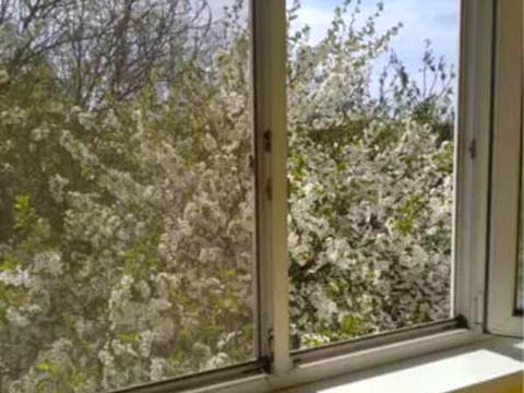 квартира по адресу Данилы Нечая ул., 25