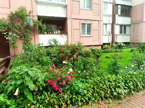 квартира за адресою Олени Пчілки вул., 2-Б