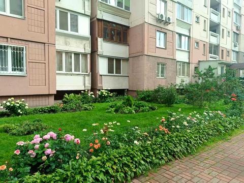 квартира за адресою Олени Пчілки вул., 2-Б
