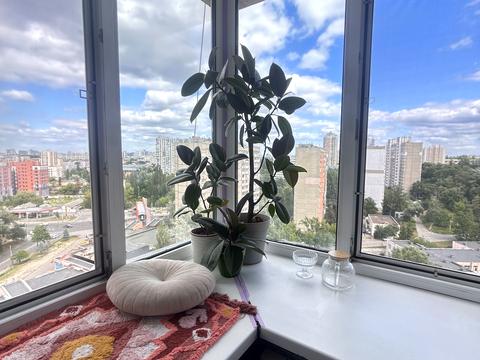квартира за адресою Миколи Голего вул. (Лебедєва-Кумача), 5