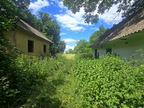 дом по адресу Центральна, 102