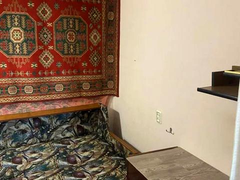 квартира по адресу Большая Диёвская ул. (Братьев Трофимовых), 44