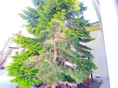 будинок за адресою Приморський пров., 7