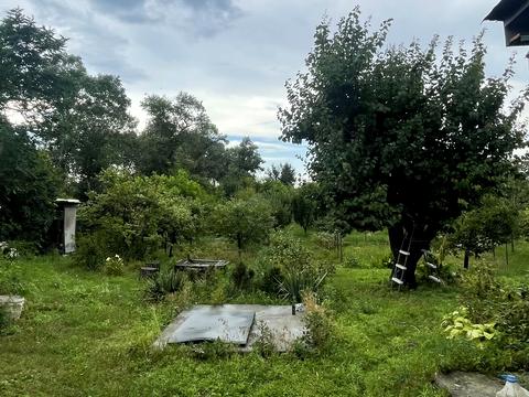 дом по адресу с. Самусевка, Озерна