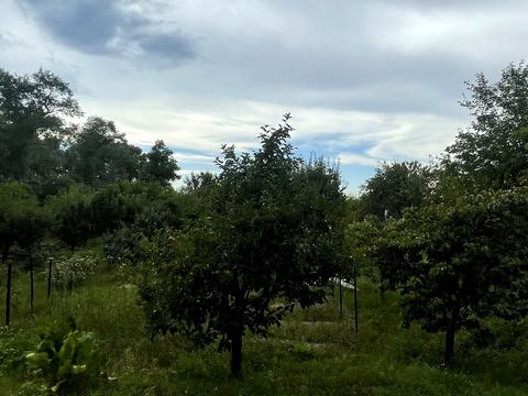 дом по адресу с. Самусевка, Озерна